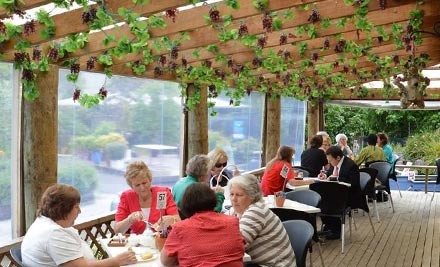 Garden Centre Cafe Meal For Two Grabone Mobile