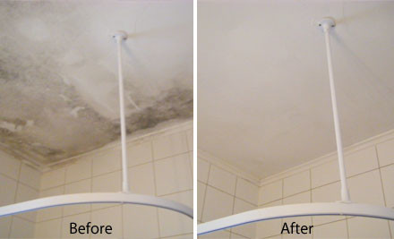 Ceiling Cleaning Grabone Mobile