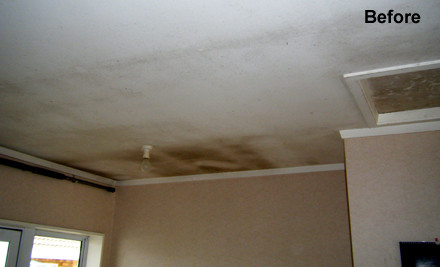 56 Off Ceiling Cleaning Or Black Mould Removal Grabone Mobile